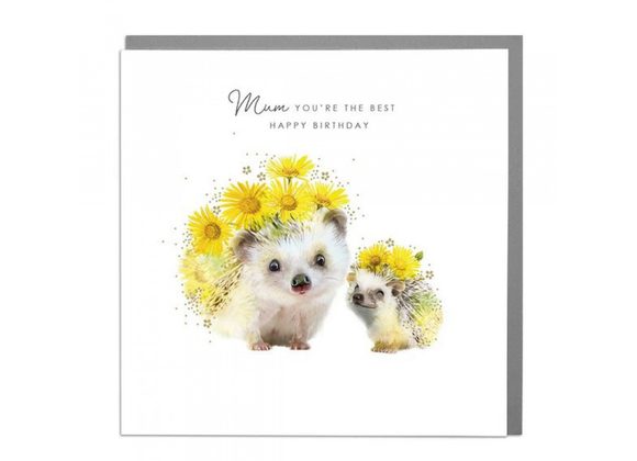 Hedgehogs Birthday - Mum You're the Best  by Lola Design