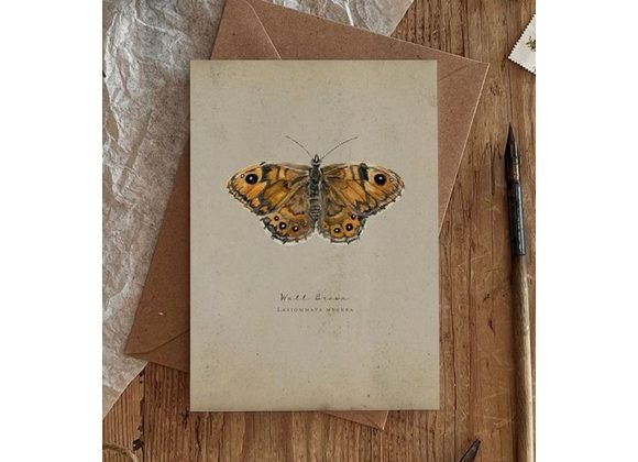 Wall Brown Butterfly card by Brooke Marie