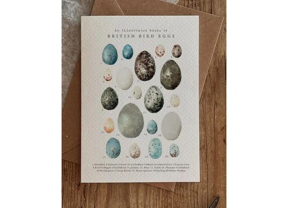 British Bird Eggs card by Brooke Marie
