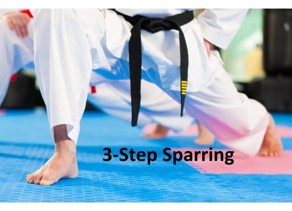A Guide to 3-Step Sparring