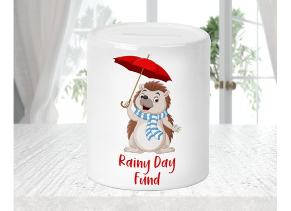 Rainy Day Fund
