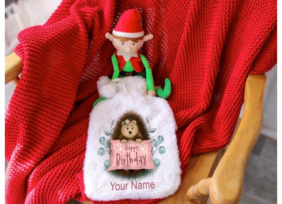 Personalised Hedgehog with pink sign hot water bottle
