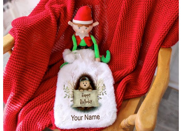 Personalised Hedgehog with sign hot water bottle