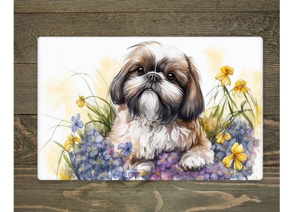 Shih Tzu