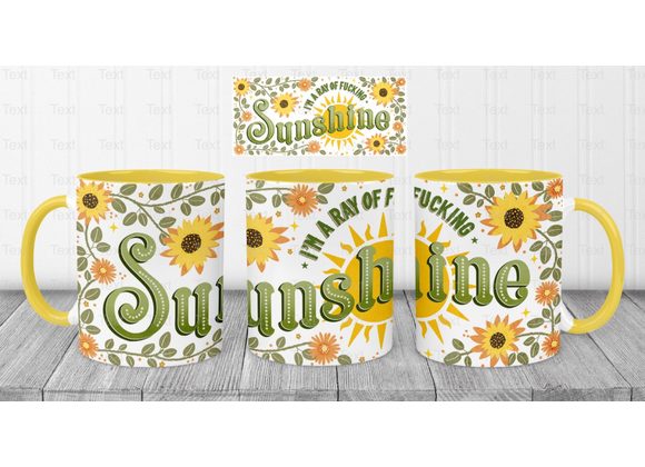 I'm a Ray of Fucking Sunshine – Funny 11oz Mug