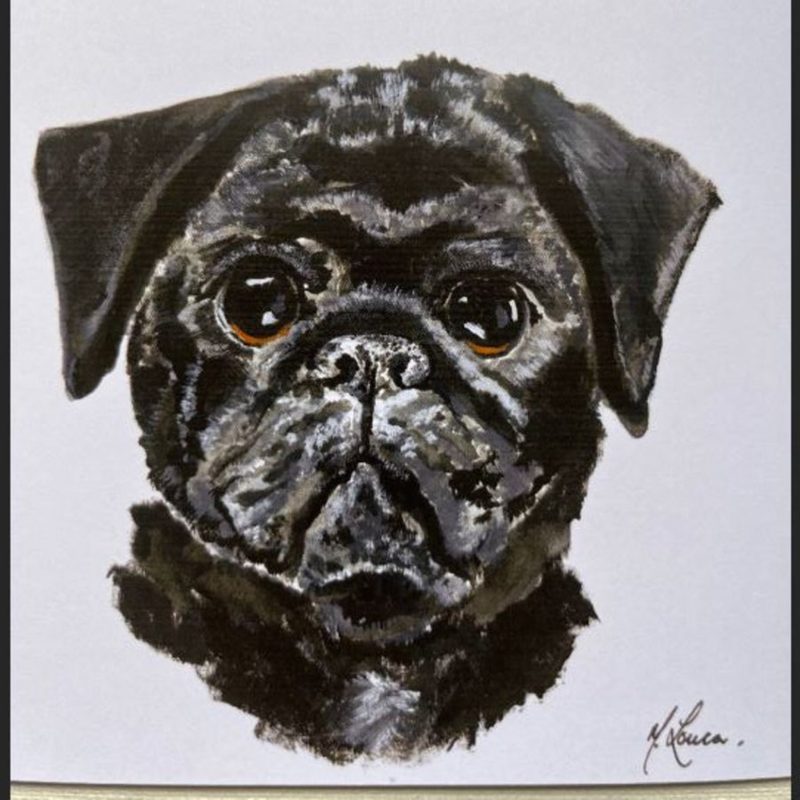 Black Pug Card by Mary Louca - Cards Company - Over 1600 Cards for all ...