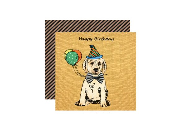 Party Labrador - Birthday Card by Apple & Clover