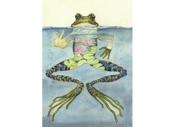 Frog Card - Daniel Mackie