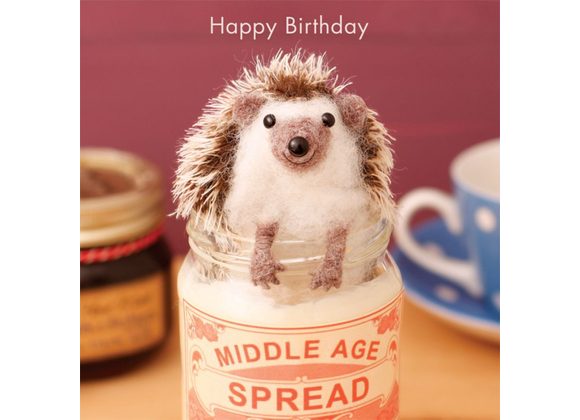 Happy Birthday - Middle Age Spread