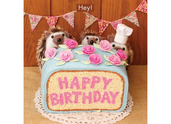 Hey! Happy Birthday - Hedgehogs & Birthday Cake