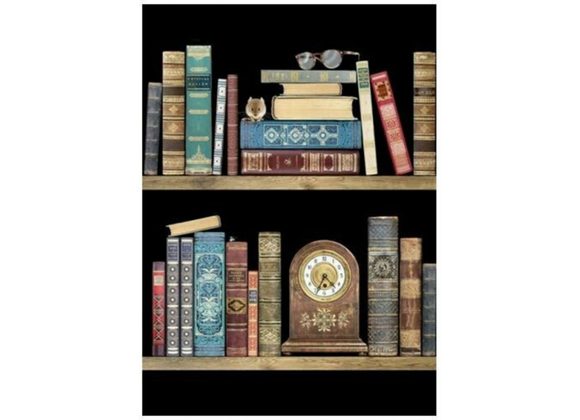 Bookshelves - Bug Art Card