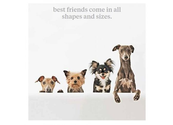 Friends come in all shapes and sizes Card