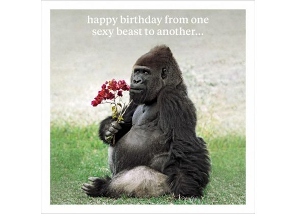 Happy Birthday From One Sexy Beast To Another Card
