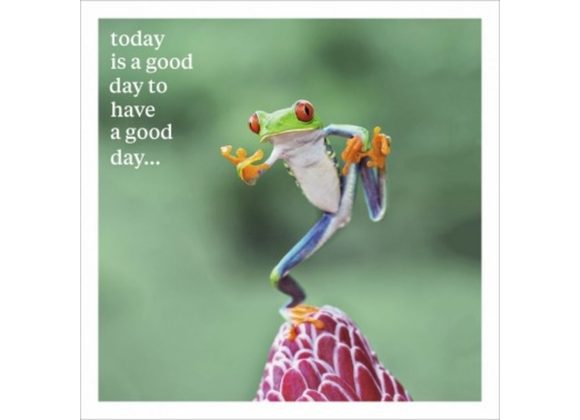 Today is a good day to have a good day...