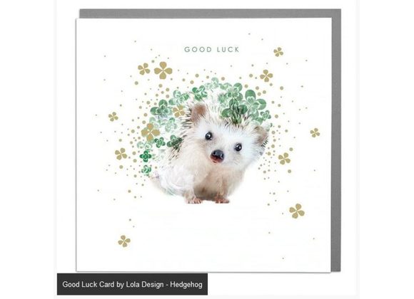 Hedgehog - Good Luck Card by Lola Design