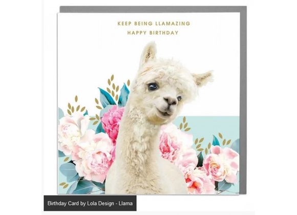 Llama - Birthday Card by Lola Design