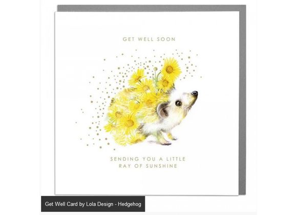 Hedheghog - Get Well Card by Lola Design