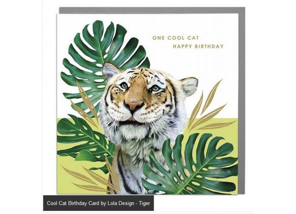 Tiger - Cool Cat Birthday Card by Lola Design 