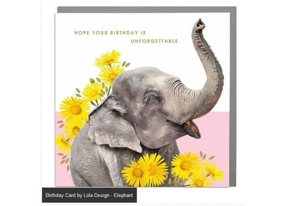 Elephant - Birthday Card by Lola Design
