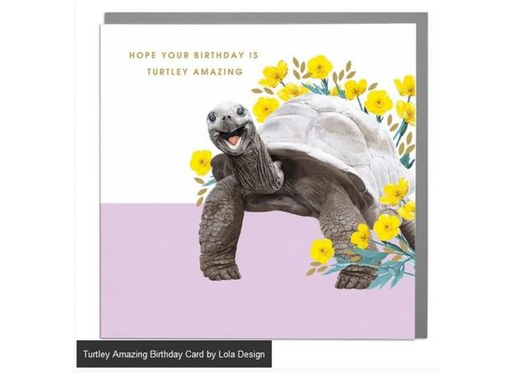 Turtley Amazing Birthday Card by Lola Design