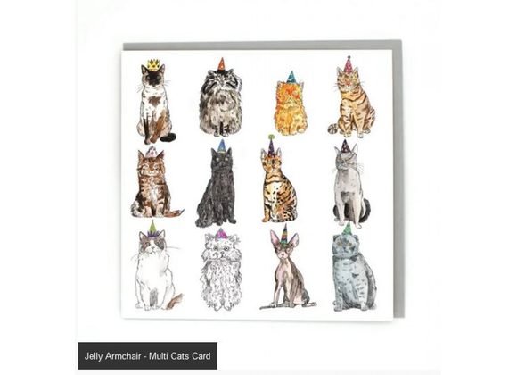 Cats - Jelly Armchair Card