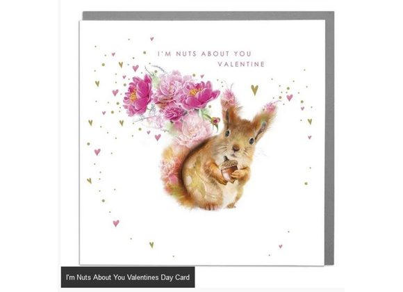 I'm Nuts About You Valentines Day Card