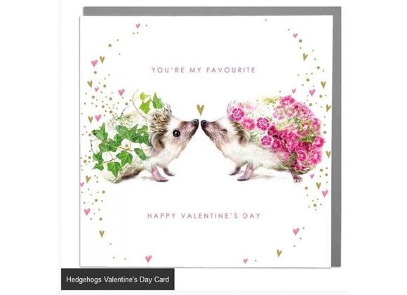 Hedgehogs Valentine's Day Card