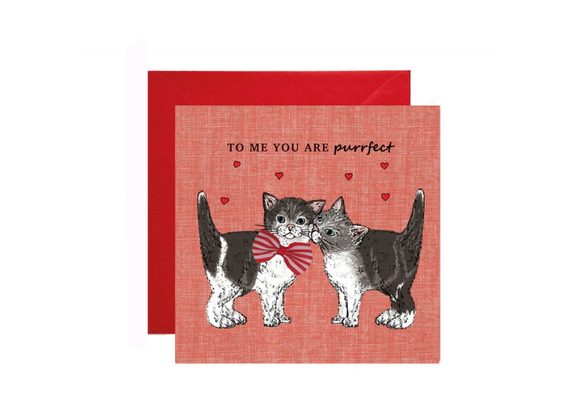 To me you are purrfect - Valentines Card