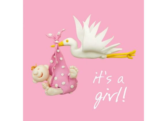 Stork, It's a girl! - New Baby Card