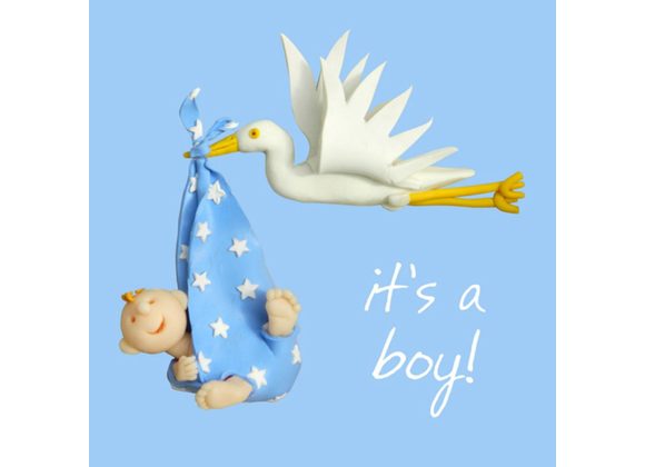 Stork baby boy By Erica Sturla