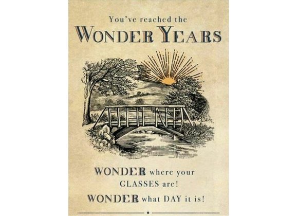 You've reached the WONDER YEARS Birthday Card