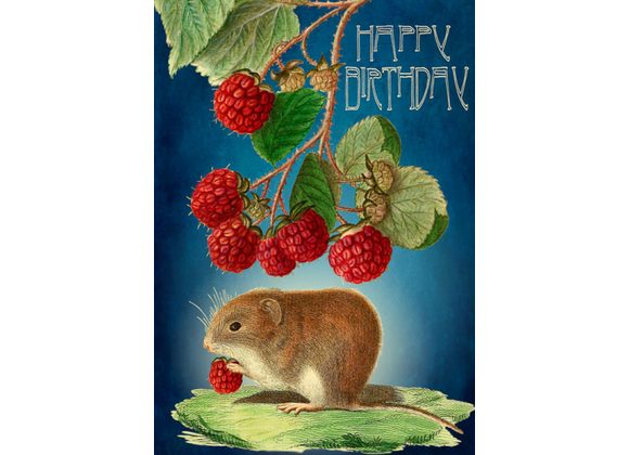 Field Mouse - Happy Birthday by Madame Treacle