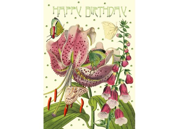 Happy Birthday - Lily by Madame Treacle