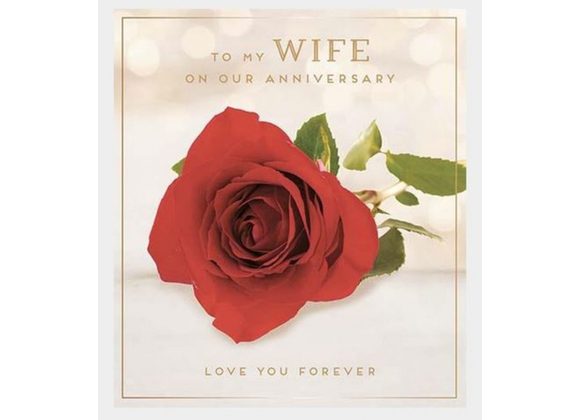 To my Wife on our Anniversary