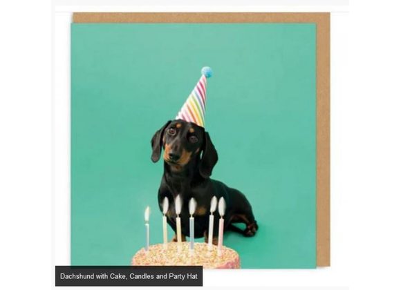 Dachshund with Cake, Candles and Party Hat 