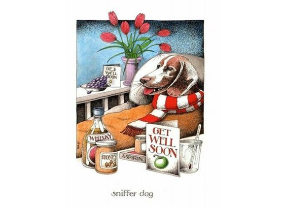 Simon Drew Card - Get Well Soon - Sniffer Dog