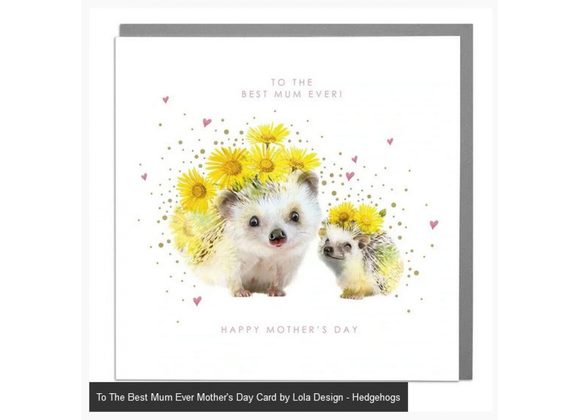 Hedgehogs  - To The Best Mum Ever Mother's Day Card by Lola Design 