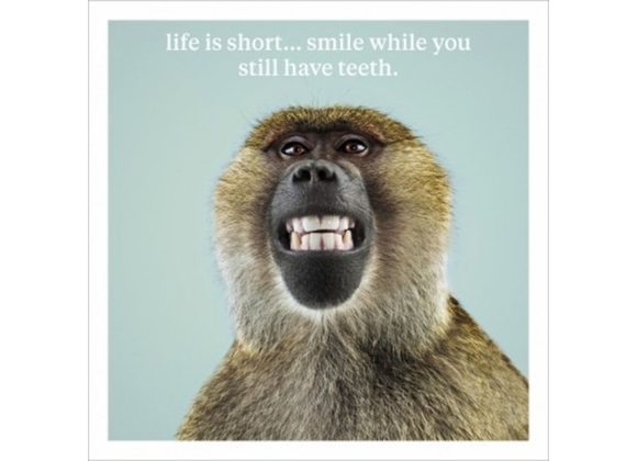 Monkey Life Is Short Smile While You Still Have Teeth