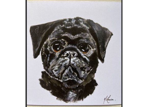 Black Pug Card by Mary Louca