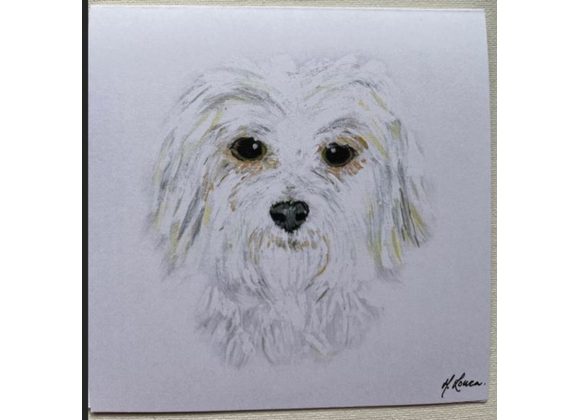 Maltese Terrier Card by Mary Louca