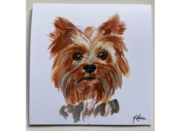 Yorkshire Terrier Card by Mary Louca