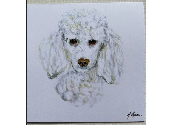 Poodle Card by Mary Louca