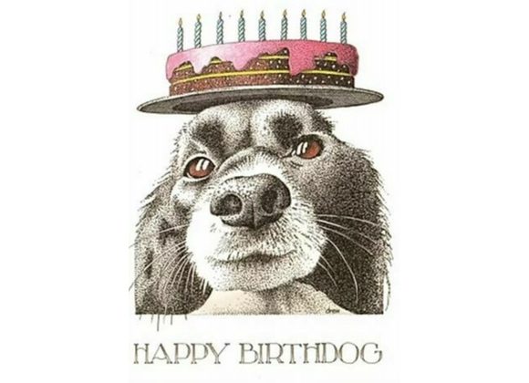 Simon Drew Card - Happy Birthdog