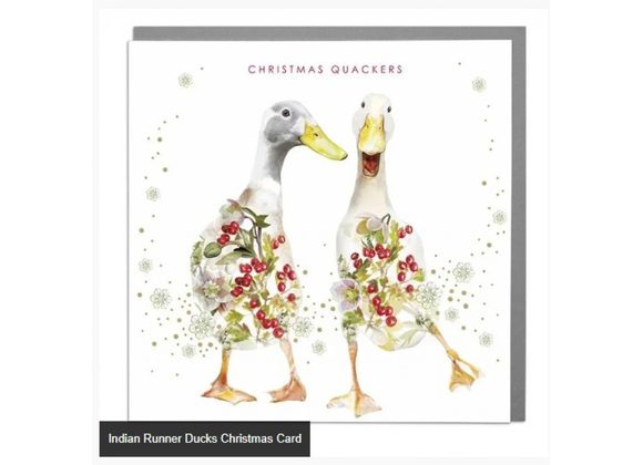 Indian Runner Ducks Christmas Card