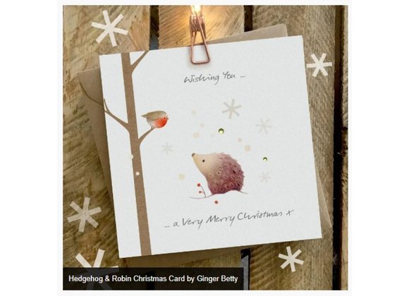 Hedgehog & Robin Christmas Card by Ginger Betty