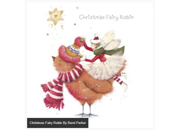 Christmas Fairy Robin By Berni Parker