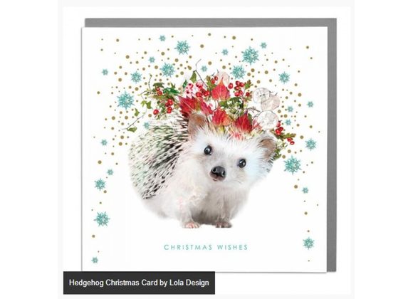 Hedgehog Christmas Card by Lola Design