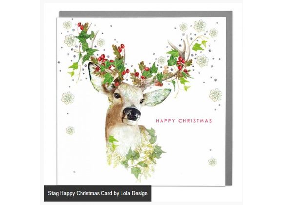 Stag Happy Christmas Card by Lola Design