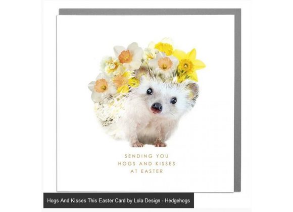 Hogs And Kisses This Easter Card by Lola Design - Hedgehogs