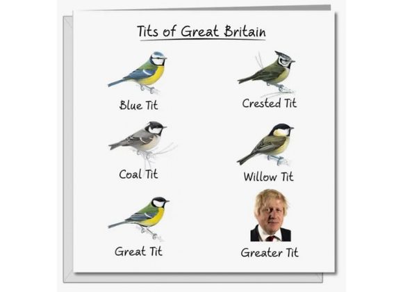 Boris Johnson - Birds, Greater Tit